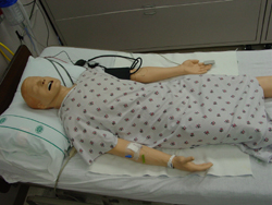 SimMan SimMan