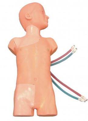 VascularAccessChild Simulation Equipment VascularAccessChild Simulation Equipment