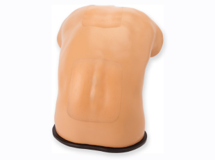 Lumbar Puncture and Spinal Epidural simulation equipment Lumbar Puncture and Spinal Epidural simulation equipment
