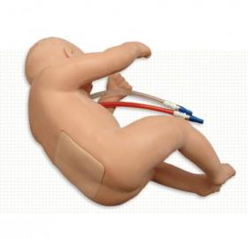 LumbarPunctureBaby simulation equipment LumbarPunctureBaby simulation equipment