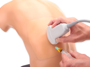 Midscapular Thoracentesis Ultrasound Training Model simulation equipment Midscapular Thoracentesis Ultrasound Training Model simulation equipment