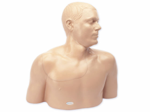 Regional Anesthesia Ultrasound Central Line Training Model simulation equipment Regional Anesthesia Ultrasound Central Line Training Model simulation equipment