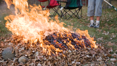 Burn-Leaves1_thumb