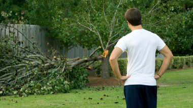 Post-storm-Injury-story-treedown_thumb