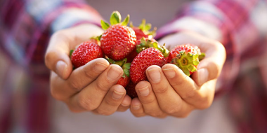 daily-dose-april-strawberry-festival-FINAL_thumb