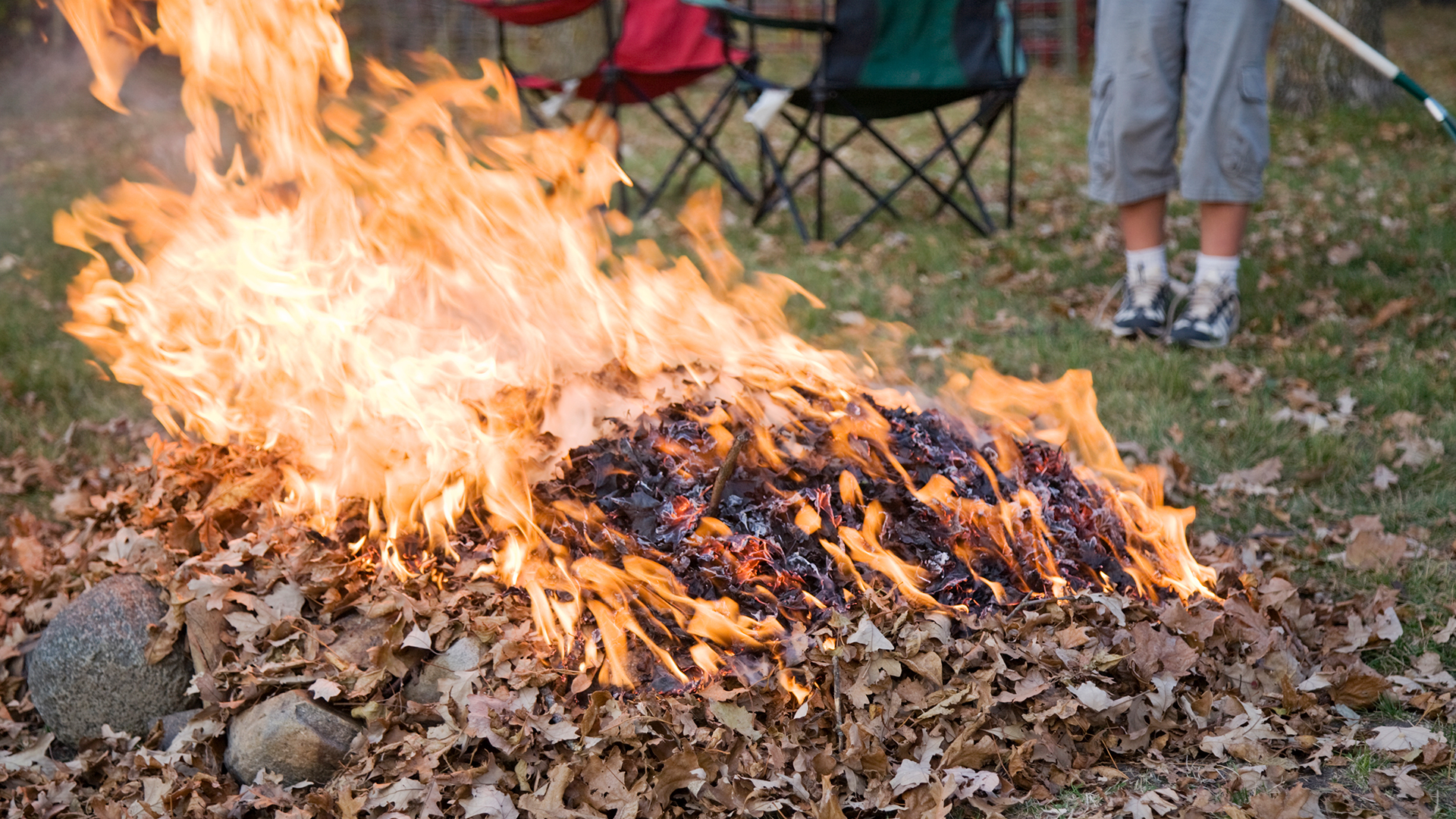 Daily Dose Is Burning Fallen Leaves Hurting Your Health Daily Dose Is Burning Fallen Leaves Hurting Your Health