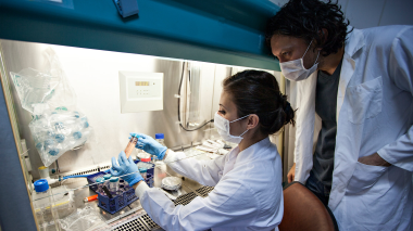 Cancer-Research-Story---DailyDose1_thumb