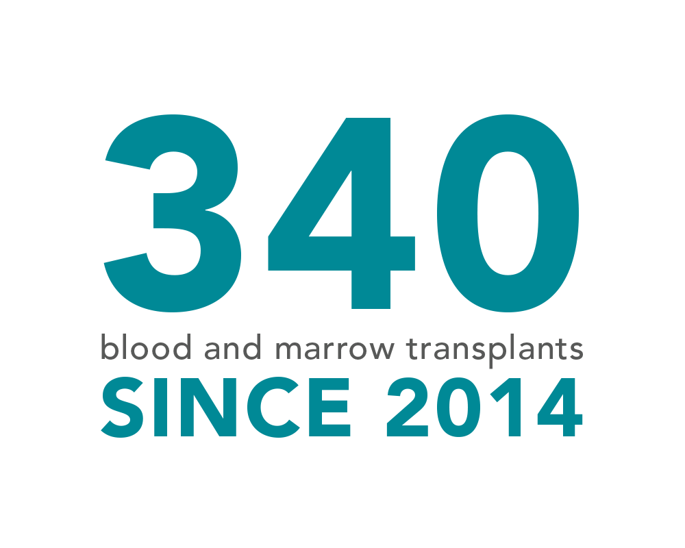 340 blood and marrow transplants since 2014